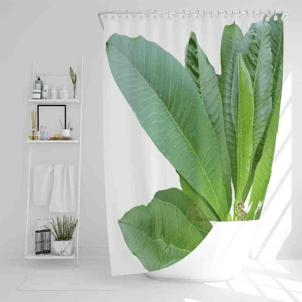 image 1 of Collection Of Green Leaves On White Shower Curtain