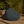 Slate Grey