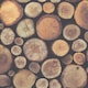 image 1 of World of Wallpaper Logs Wallpaper - Natural - 10m x 53cm