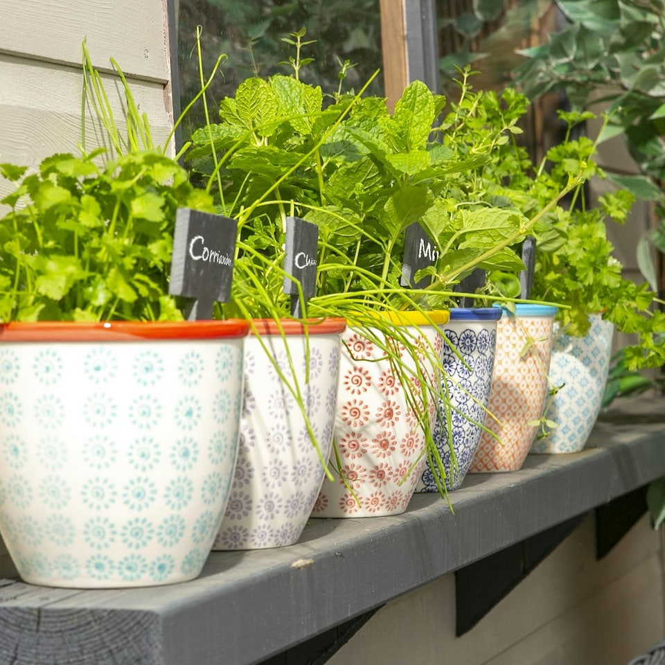 image 1 of Nicola Spring Hand-Printed Plant Pot - 14cm - Turquoise Blue