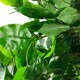 image 2 of 120cm Artificial Ficus Tree / Plant - Large Bushy Shape Copper Metal Planter