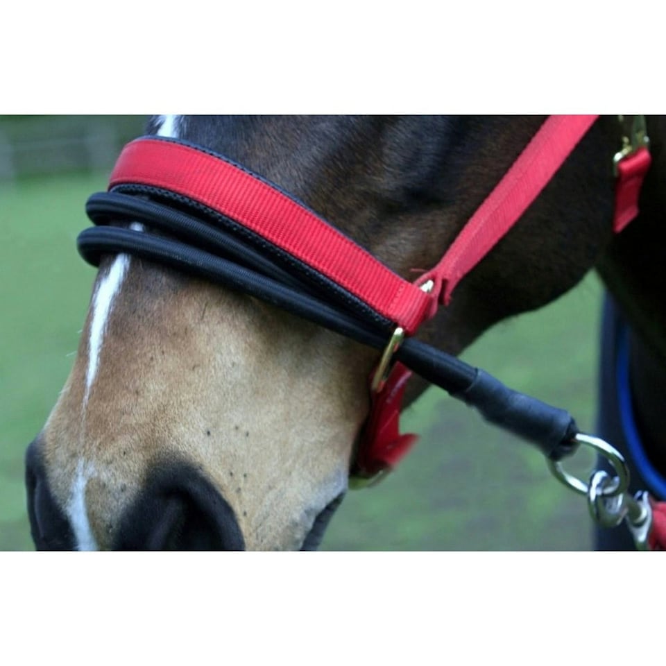 Sundry Ezyloader Horse Head Collar Adapter - Black - One Size