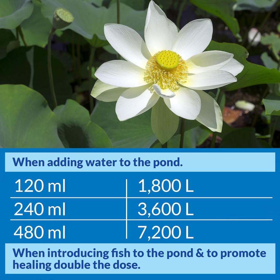 image 1 of 473ml API Pond Stress Coat Pond Water Conditioner Makes Tap Water Safe 140B Aquarium and Fish Supplies