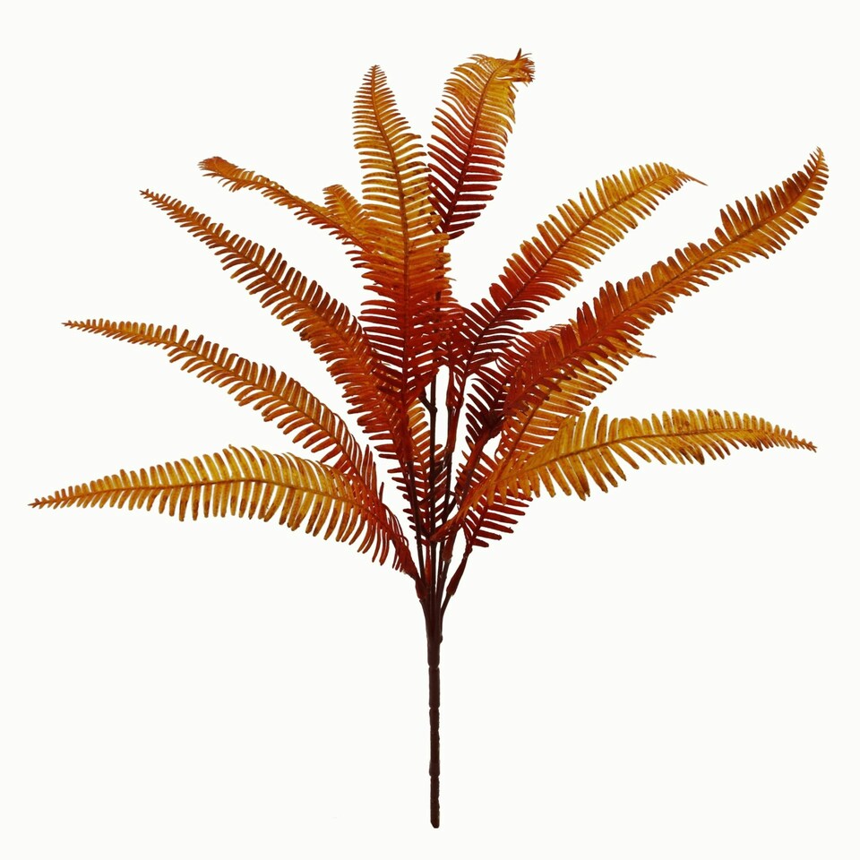 image 1 of 55cm Artificial Autumn Fern Bush Plant