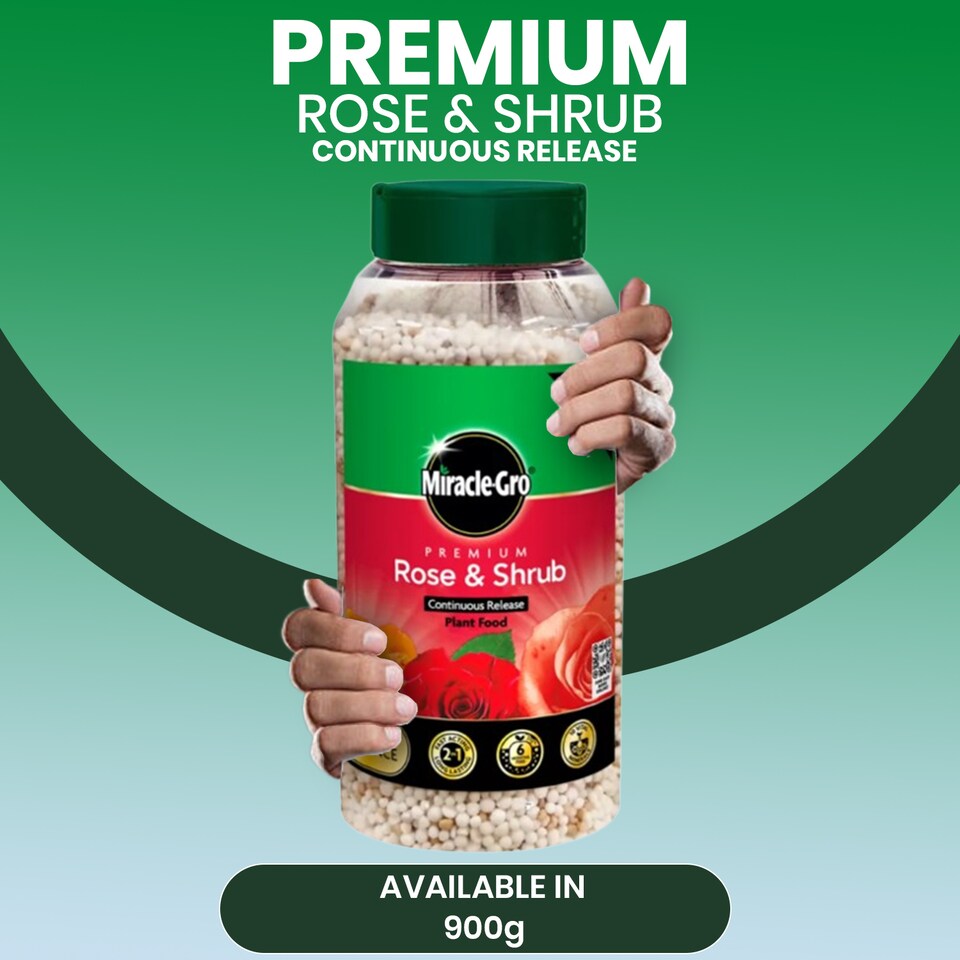 image 1 of Miracle-Gro Rose and Shrub Plant Food Granules 900g Slow Release Feed for Strong Healthy Flowering Plants 6 Month Feed