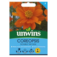 Coreopsis Double The Sun | Multi | Orange | Flower Seeds | 1