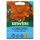 image 1 of Coreopsis Double The Sun | Multi | Orange | Flower Seeds | 1