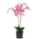 image 1 of 60cm Leaf Design UK Realistic Artificial Orchid Flower Display in Pot