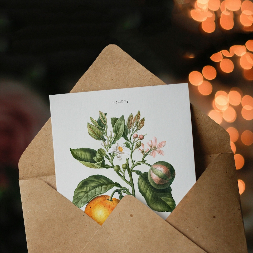 image 1 of Pierre-Joseph Redouté Art Card Bitter Orange Vintage Botanical
