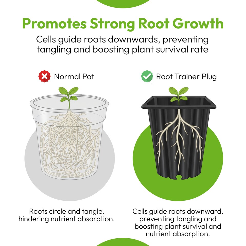 image 1 of 160 Cell Root Trainer Tree Trays Deep Propagation Trays Pack of 9