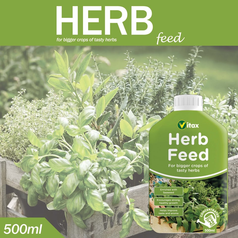 image 1 of Vitax Liquid Herb Feed 500ml Fast-Acting Seaweed Enriched Nutrient Formula for Bigger Healthier Flavourful Herbs