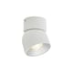image 4 of Pitcher | Spot light | White White | White
