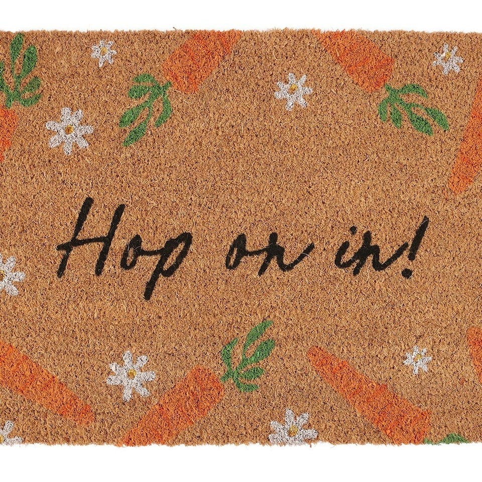 image 1 of Something Different Hop On In Door Mat - Natural - One Size | Cream | One Size