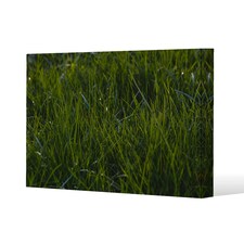 Fresh green grass background, natural grass (Canvas Print) 101 x 77 x 4cm