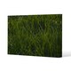 image 1 of Fresh green grass background, natural grass (Canvas Print) 101 x 77 x 4cm