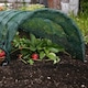 image 2 of Marshalls Garden Haxnicks Easy Net Tunnel - Standard 30 x 45 x 300