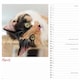 image 5 of Cats Wiro Wall Calendar 2026
