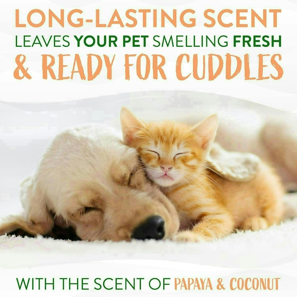 image 1 of TropiClean Moisturising Waterless Dog and Cat Shampoo Papaya & Coconut, 220ml