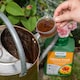 image 5 of Marshalls Garden Organic Liquid Flower Feed 1 Litre