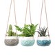 image 3 of Burgon & Ball Baby Dotty Trio Hanging Baskets Set