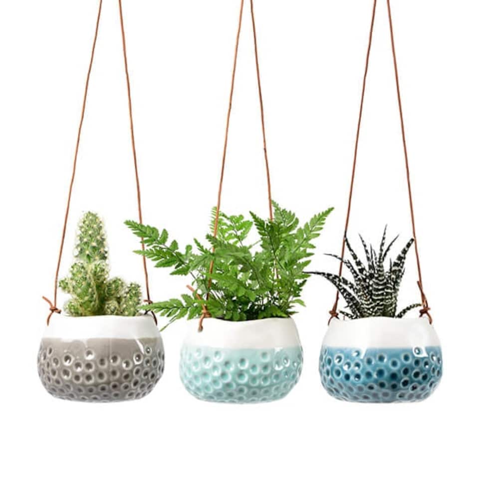 image 1 of Burgon & Ball Baby Dotty Trio Hanging Baskets Set