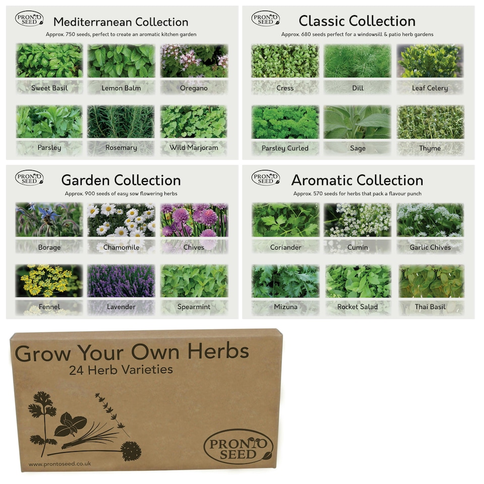image 1 of Pronto Seed Herb Seeds Bumper Pack – 24 Culinary Herb Varieties, Over 2,600 Seeds for Kitchen & Garden Growing