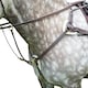 image 1 of Salisbury Leather Stitch Horse Breastplate - Australian Nut - Full