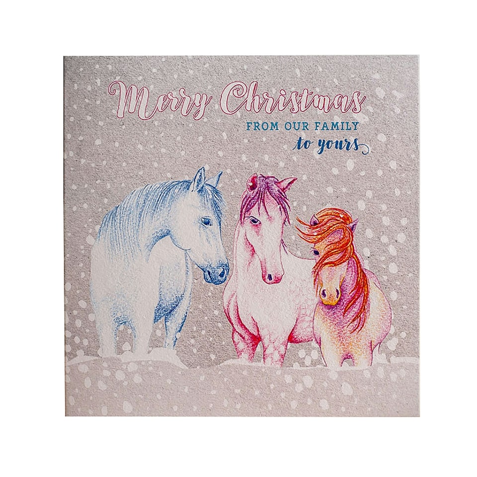 image 1 of Deckled Edge Christmas Card - From Our Family To Yours - Ponies in Snow (Silver) - One Size