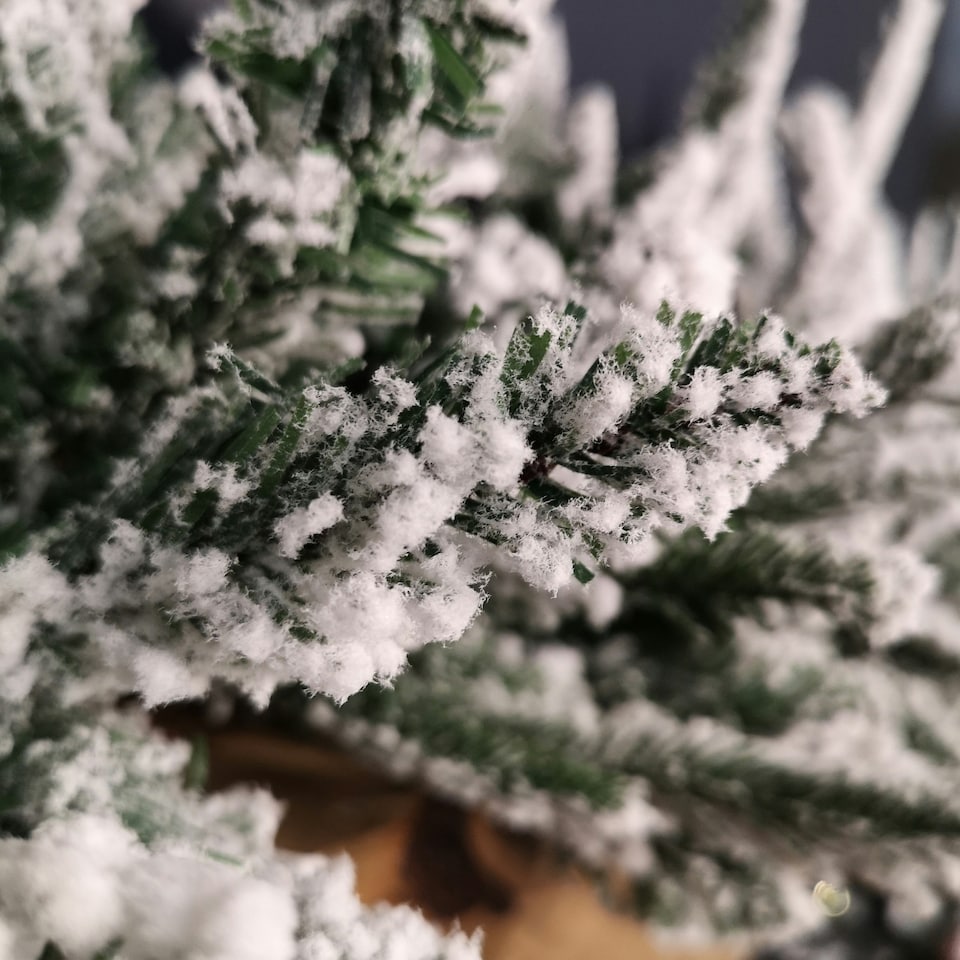 image 1 of 1.8m Snow Flocked Lapland Christmas Garland with 150 Tips