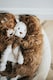 image 2 of My Dog Luxury Plush Dog Toys Bear