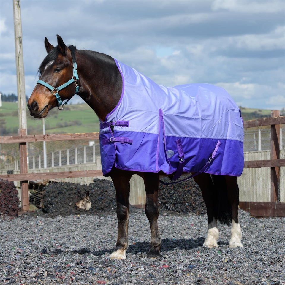 image 1 of eQuitack 600D Waterproof Horse Turnout Rug 0g No Fill Half Neck Lavender/Purple 6'9''