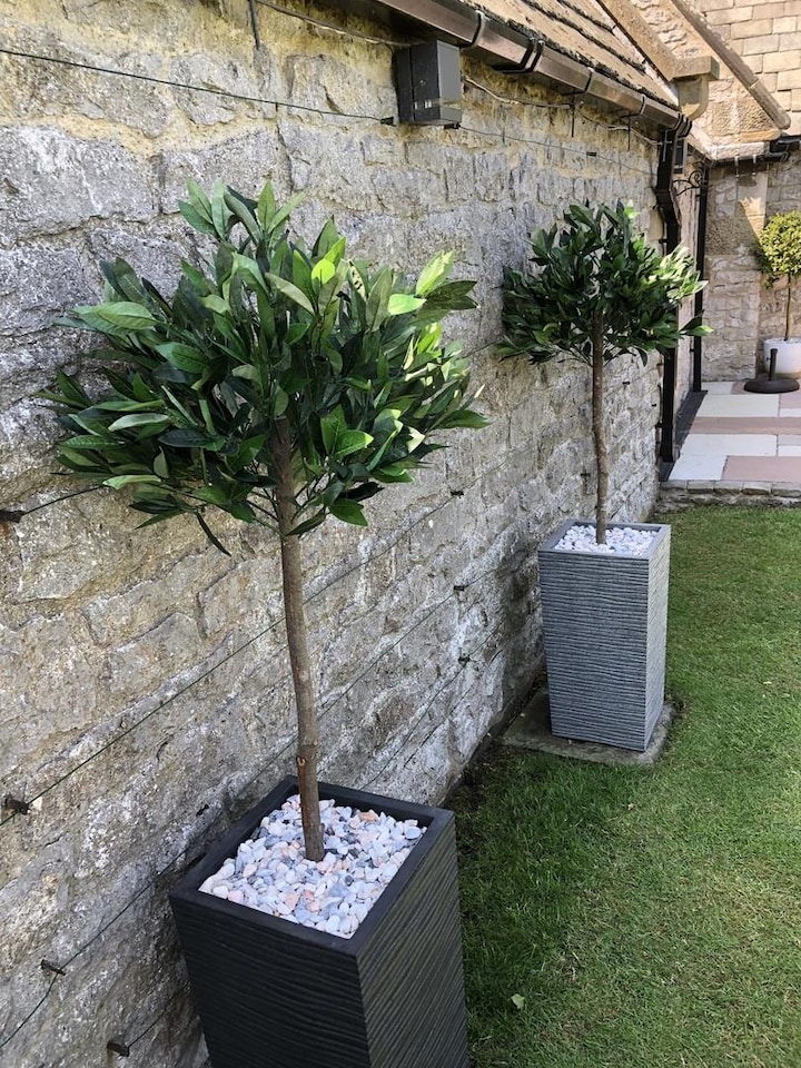 image 1 of 120cm (4ft) Plain Natural Trunk Artificial Topiary Bay Laurel Ball Tree | Green | 4ft