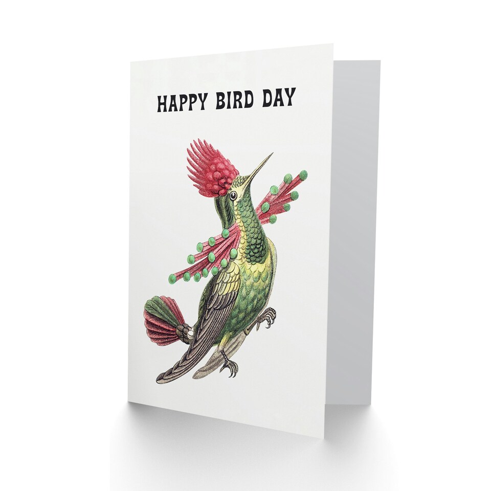 image 1 of Ernst Haeckel Birthday Card Hummingbird Vintage Illustration Bird Pun