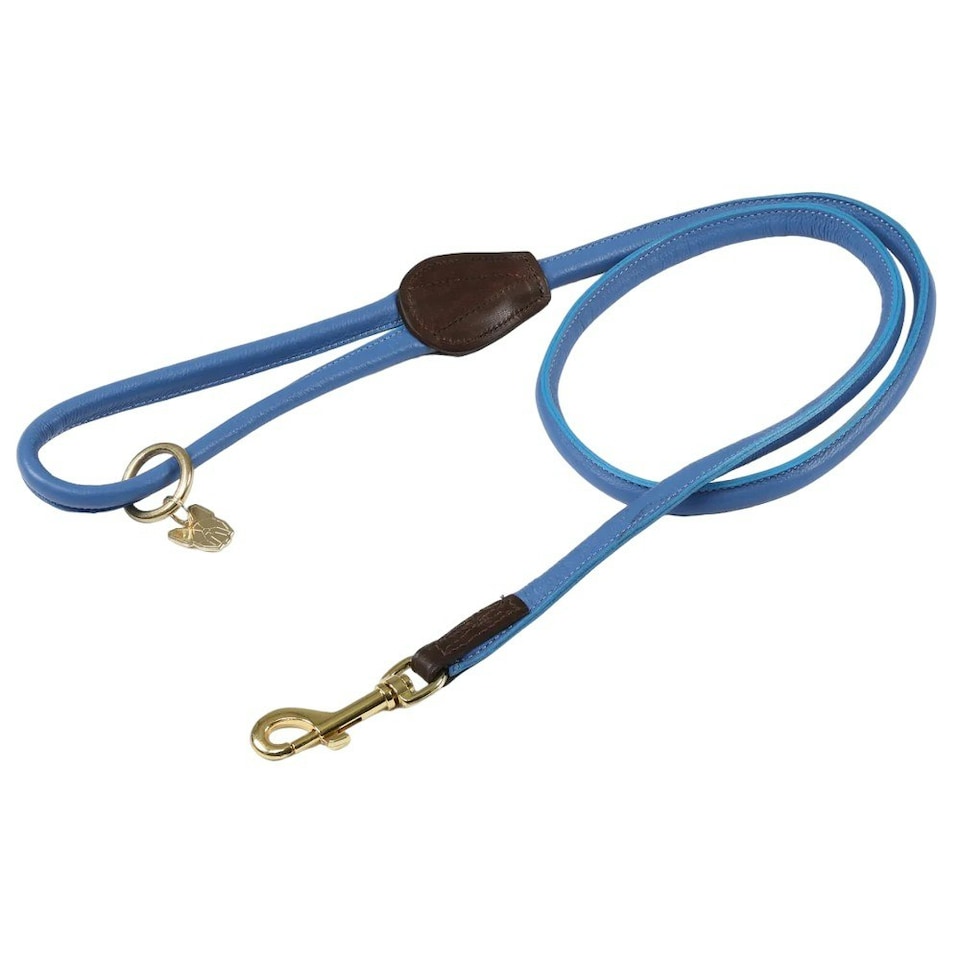 Digby & Fox Rolled Leather Dog Lead - Royal Blue - One Size