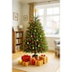 image 8 of Premier Nordman Fir Christmas Tree - Low Needle Drop - 1.25m to 1.50m (125 - 150cm / 4 - 5ft)