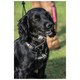 image 4 of Mikki Anti Pull Harness - Medium