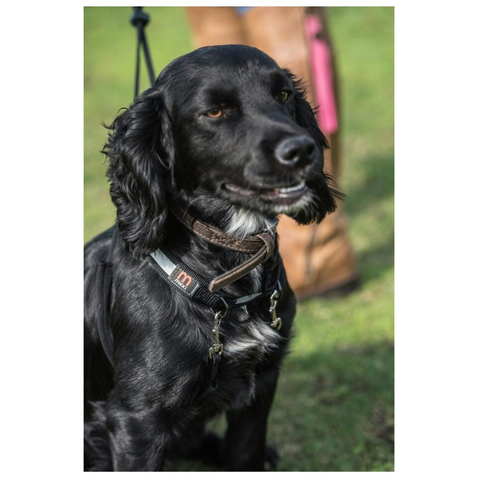 image 1 of Mikki Anti Pull Harness - Medium