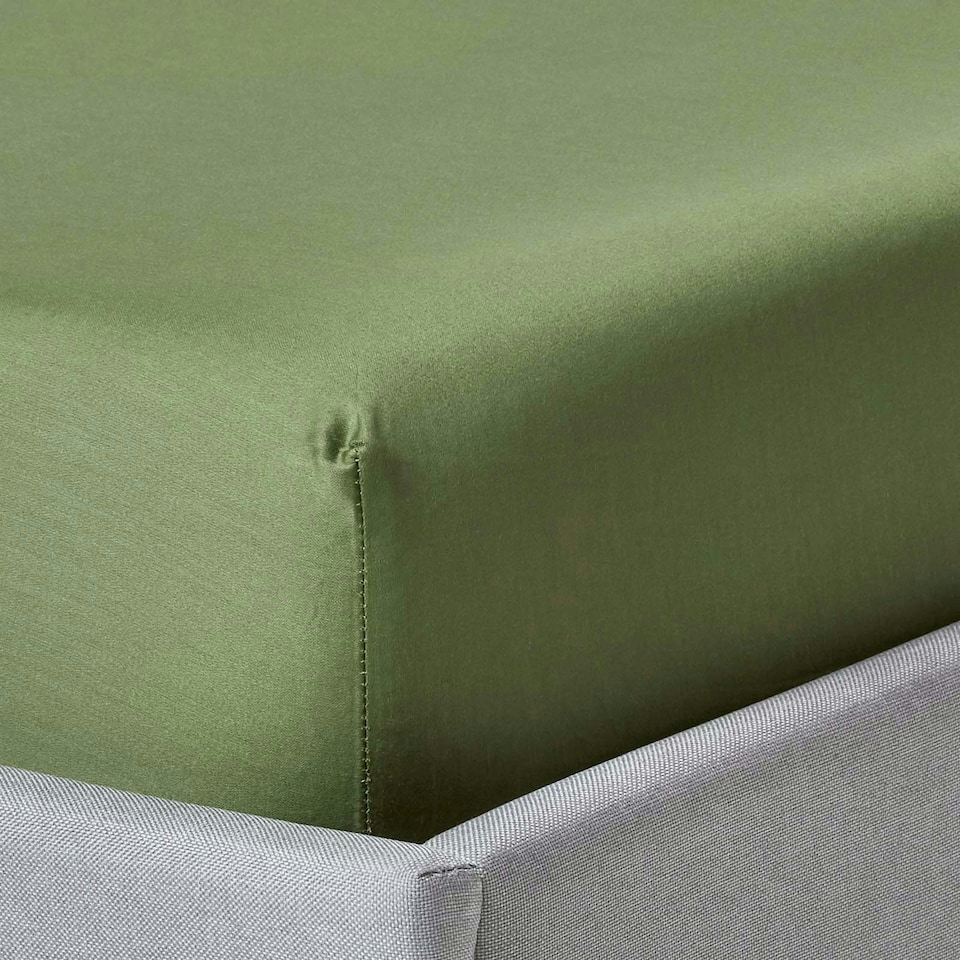 image 1 of Homescapes Moss Green Organic Cotton Fitted Sheet 400 TC, Small Double | Green | One Size