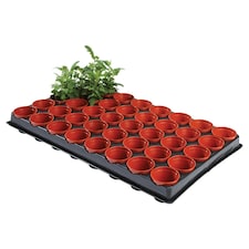 Ambassador Growing Tray - Multicoloured - One Size