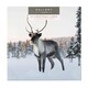 image 6 of Hallmark 25499887 Gallery Christmas Card Pack"Snowy Scenes" - 10 Cards, 2 Designs