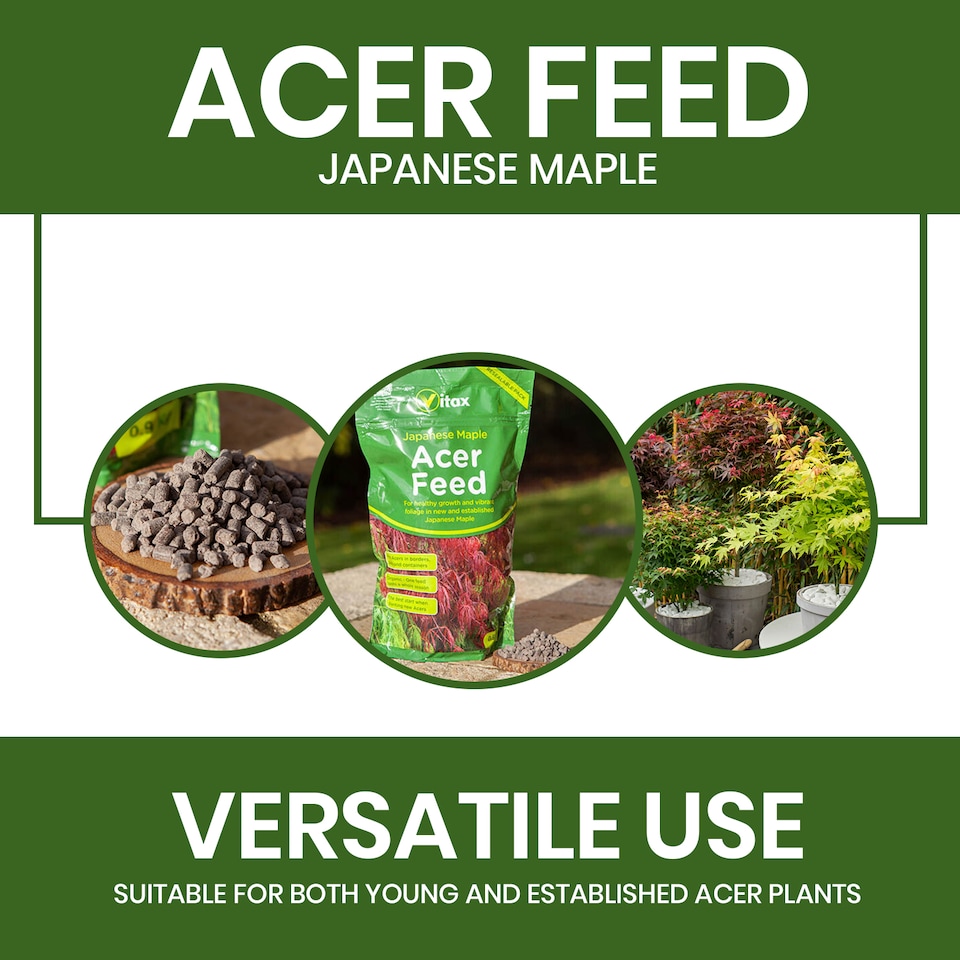 image 1 of Vitax Acer Feed Japanese Maple Tree Organic Plant Feed Healthy Growth Vibrant Foliage 0.9kg Pack of 2