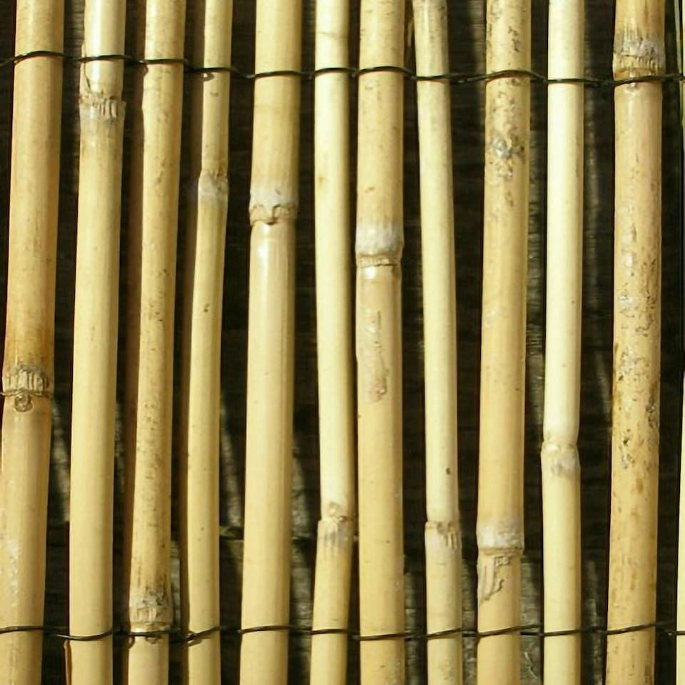 image 1 of Natural Screening Roll Privacy Peeled Reed Wind Sun Protection 3m x 1.2m Primrose