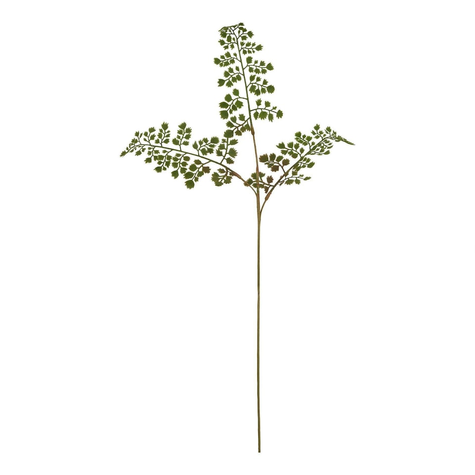 image 1 of Hill Interiors The Natural Garden Collection Maidenhair Fern Artificial Flower - Green - One Size