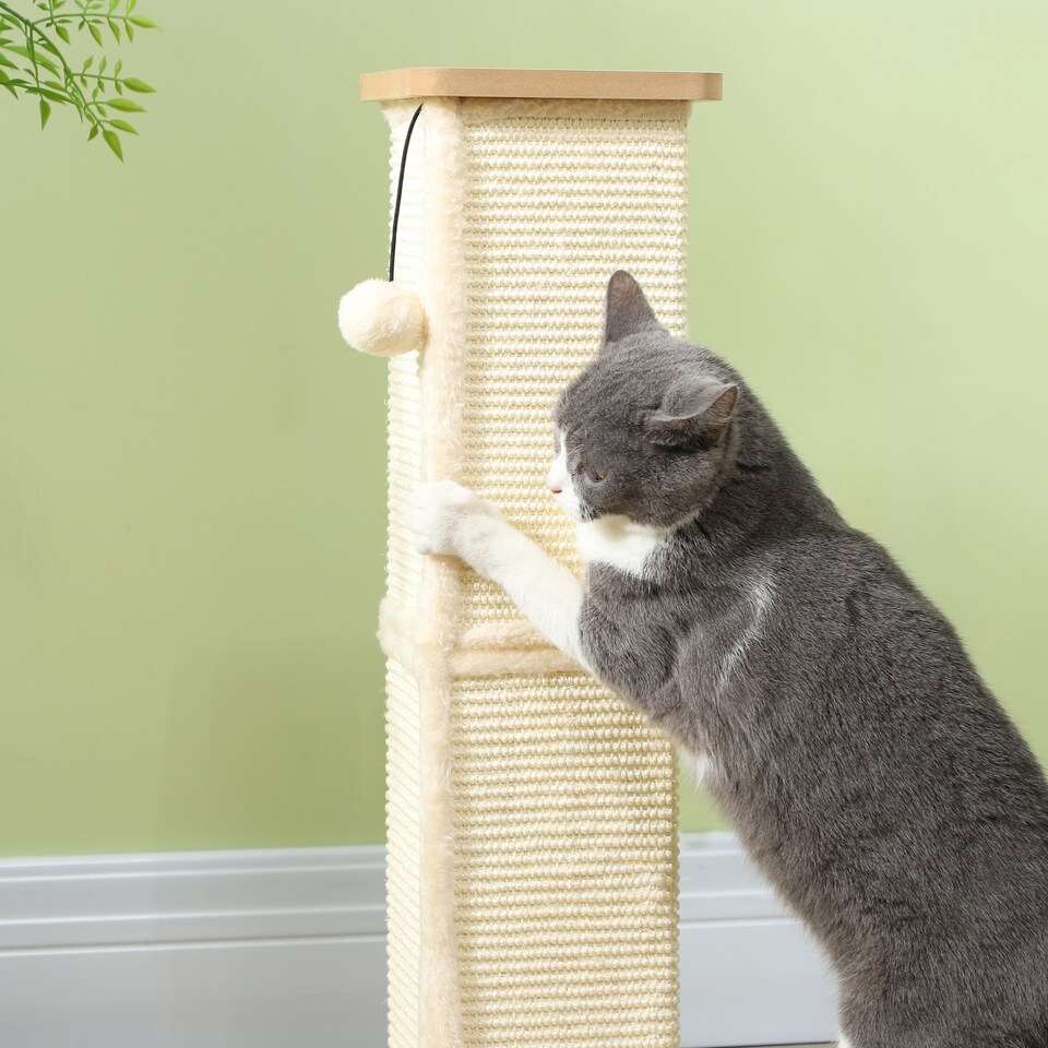 image 1 of PawHut 3-in-1 Cat Scratcher Post with Sisal Track Ball Toy, Light Oak