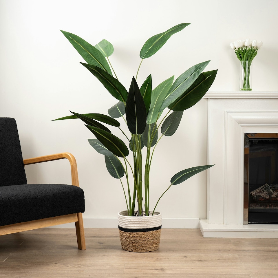 image 1 of 160Cm Bird Of Paradise Tree Green | One Size