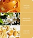 image 3 of Essential Oil Blend - Amber Sunset | Brown