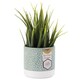 image 3 of English Tableware Company Artisan Flower Small Planter