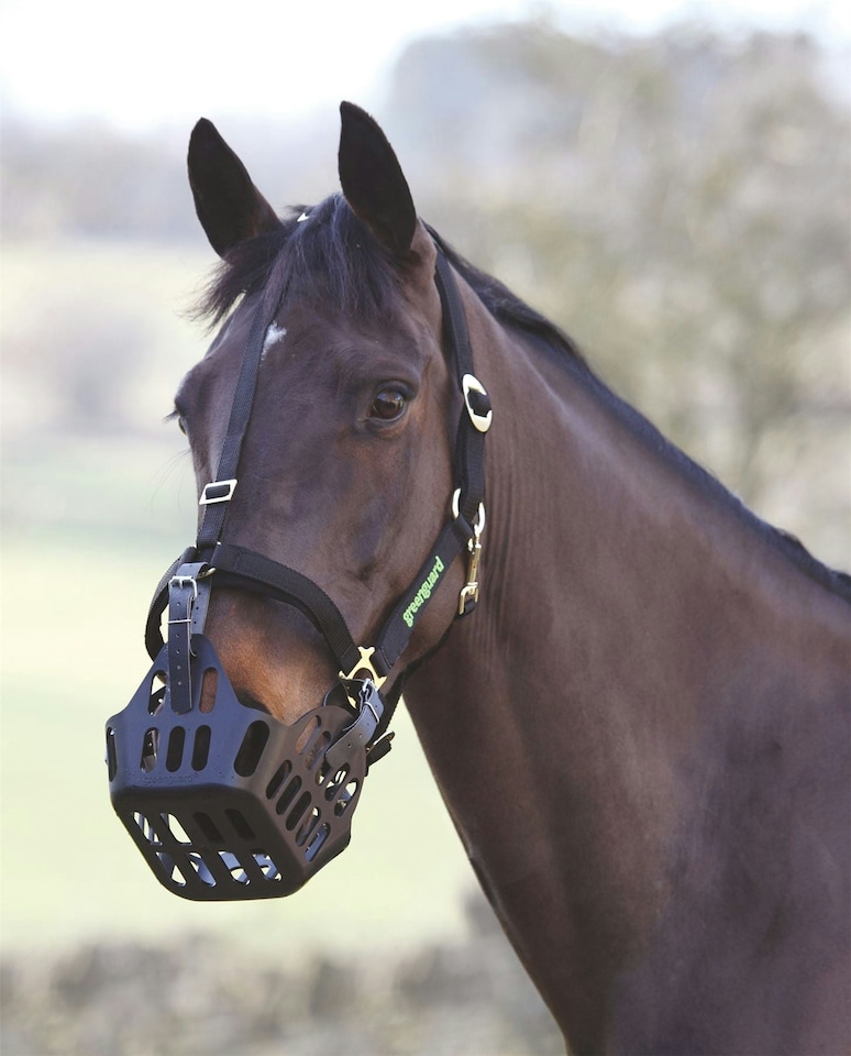 image 1 of Shires Greenguard Headcollar Black