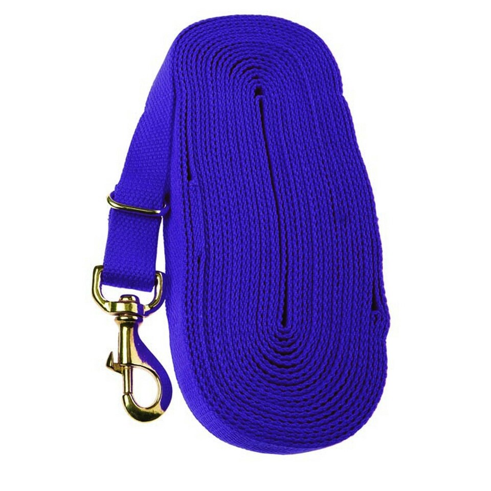 Kincade Cotton Lunge Rein - Blue - 8m