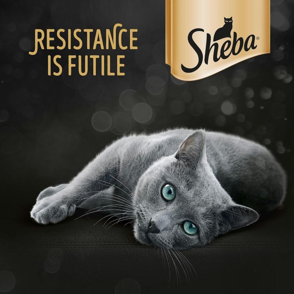 image 1 of 150 x 50g Sheba Fresh & Fine Adult Wet Cat Food Pouches Mixed Poultry in Gravy